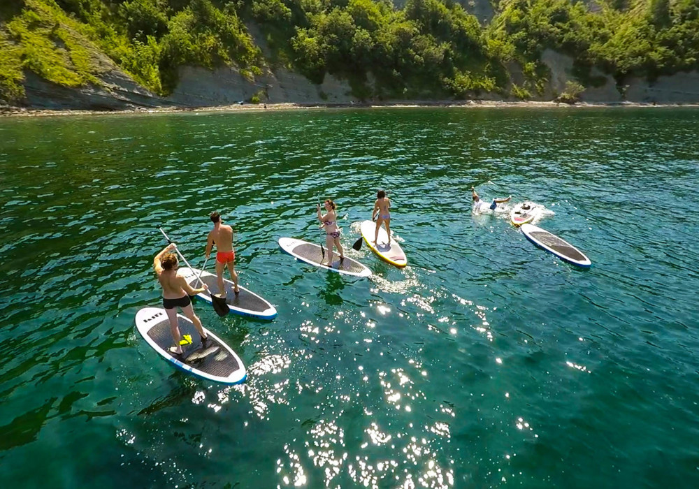 Aktivnosti